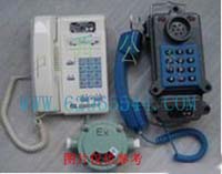 电话机 含耦合器LS1-IAH-2库号M723 