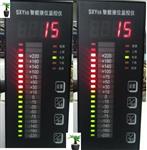 智能液位监控仪型号SXY-5S库号M402856 