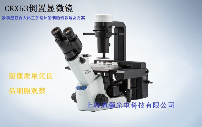 奥林巴斯CKX53倒置显微镜