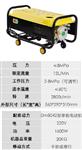 电动高压消毒喷雾机型号HM-380库号M351597 