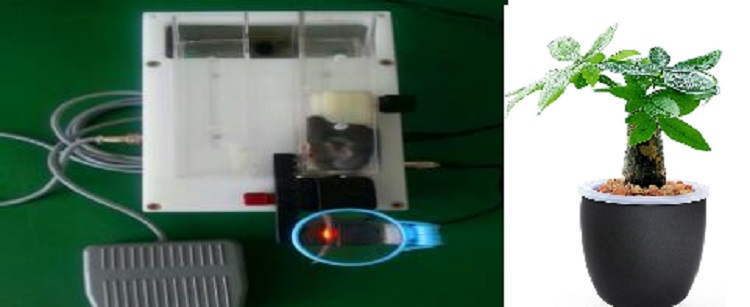 静脉可视小鼠尾注固定器YLS-Q9G库号D382903