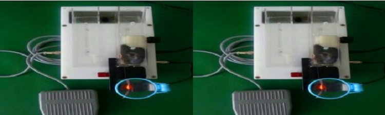 静脉可视小鼠尾注固定器YLS-Q9G库号D382903