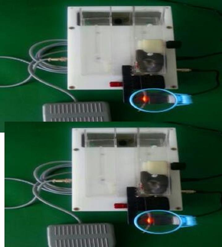 静脉可视小鼠尾注固定器YLS-Q9G库号M382903