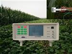 光合作用测定仪 型号M330716-SY-1020