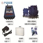 大体积混凝土测温仪型号TD-12库号M402088 