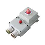 BDZ52防爆断路器漏电2P3P4P防爆开关箱220V