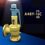 永一安全閥 WA42Y波紋管平衡式