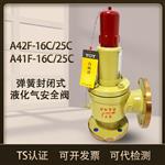  中国永一A42F天然气安全阀