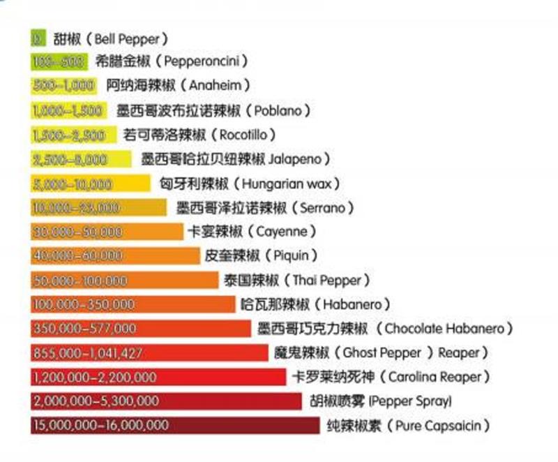 便携式辣度计FoodSense-G4库号M310714   