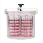 厌氧培养罐（10L） 型号:JX240-AG100