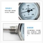 双金属温度计径向轴向万向指针远传电接点防爆双金属温度表