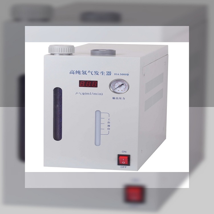 氢气发生器 型号:WXY3-HA500