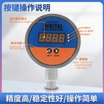 径向高精度数显压力表100mm