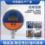 径向高精度数显压力表100mm
