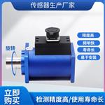NJL-110动态微扭矩传感器