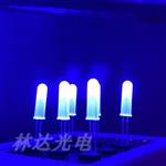  F5圆头雾状17.5mm高胶体白发兰LED灯珠