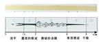 智能干燥时间记录仪BEVS 1815库号M253865