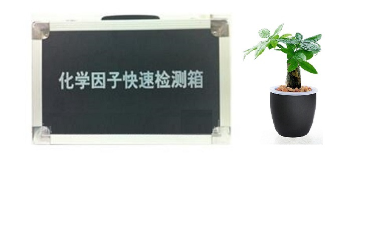 化学因子快速检测箱型号HXB-01A库号D394519 