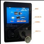 酒精测试仪 型号:SX33-SAD300-C