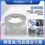 LCZ-111A组合式荷重传感器