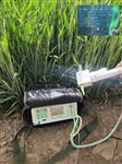 植物光合作用测定仪型号D330756库号M330756 