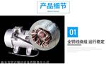  ZF18-50混凝土振动器 功率0.18KW