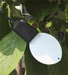 叶面温湿度传感器型号LWS-10库号M285210  