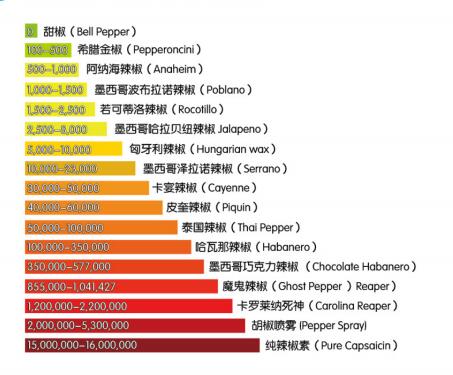 便携式辣度快速检测仪 CC01-FoodSense-G4
