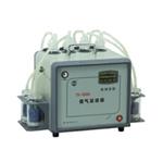 智能烟气采样仪型号WT100-TH-600库号M23388 