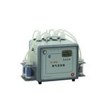 智能烟气采样仪型号WT100-TH-600库号M23388 