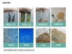 上海净信冷冻真空研磨仪JKCL-ZK