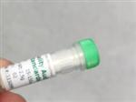马尔文激光粒度仪标样QAS3002库号D18617