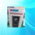氢气发生器 型号:ZXGCH-TP-3030C