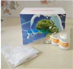食盐含碘量检测试剂YS722-20T库号D11538  