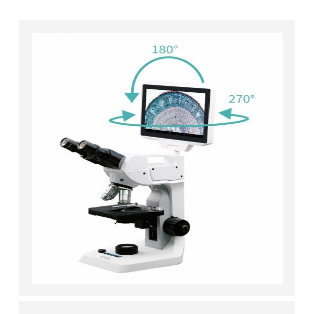 数码液晶显微镜 型号:M31-AS6105 