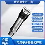 PTL538超高压数显压力开关