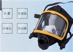 长管呼吸器型号NA11-NA-II库号D386379