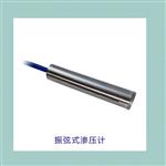 振弦式渗压计 库号：D333291