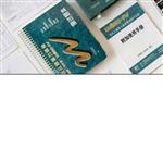 韦氏儿童智力量表测试版库号D11281 