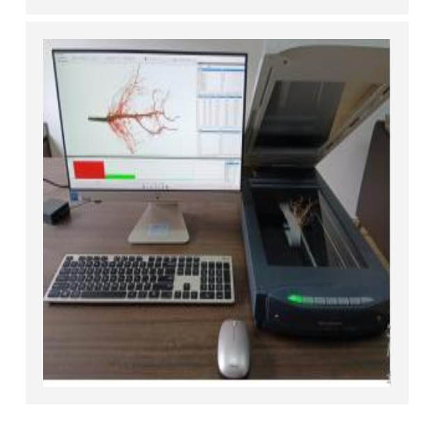 植物根系分析仪(中西器材） 型号:M398630