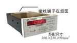 电压监测仪DT1-220V*3/C库号D238274 