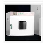 电热恒温干燥箱型号:MW17-101-0