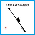 本质安全型长杆式无线探测终端YKL6.4