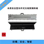 本质安全型长杆式无线探测终端YKL6.4