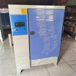 标准恒温恒湿养护箱中西器材 ZXSHBY-40B