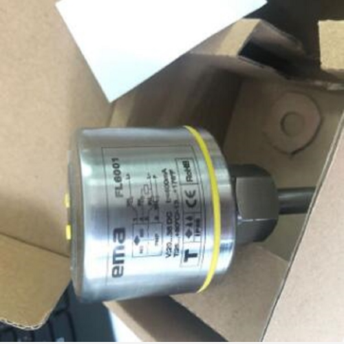 EMA 电子式流动传感器 型号:EM12-FL6001