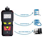 便携式二甲基二硫气体分析报警仪