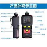 便携式二甲基二硫气体分析报警仪