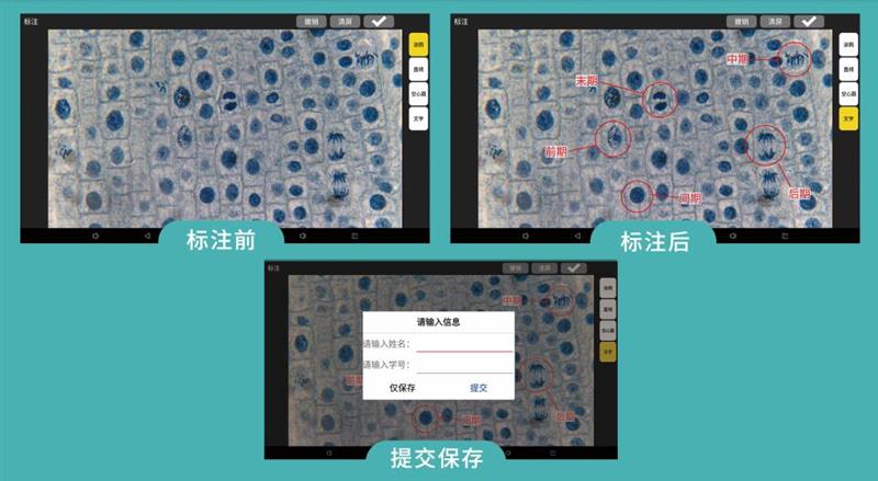 数码液晶显微镜 库号：D372372  