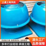 上虞上裕玻璃钢防腐DWT-III型离心屋顶风机